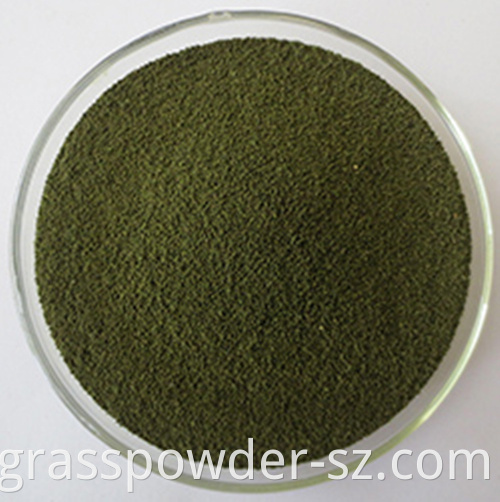 Organic Wheat Juice Green Powder